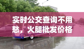 实时公交查询不用愁，火腿批发价格——智能化时代的便捷与真相探寻