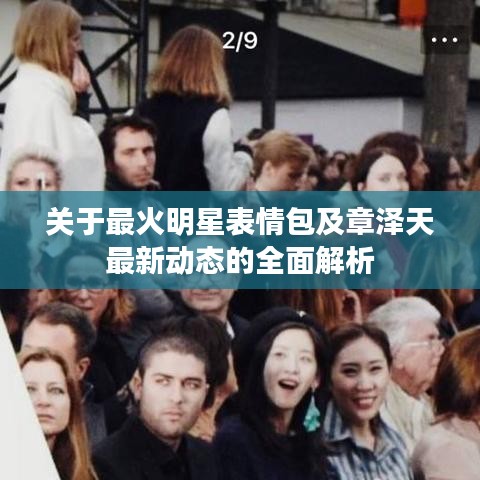 关于最火明星表情包及章泽天最新动态的全面解析