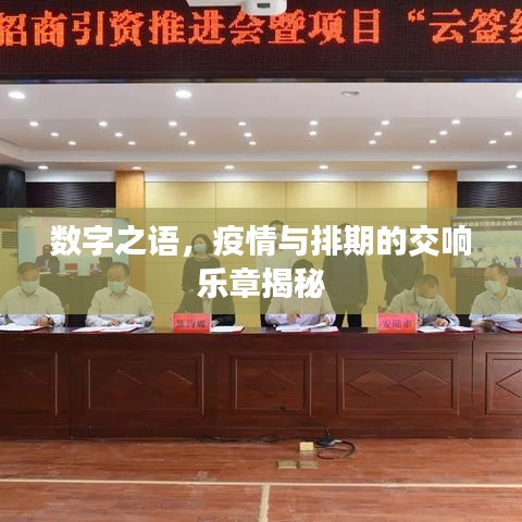 数字之语，疫情与排期的交响乐章揭秘
