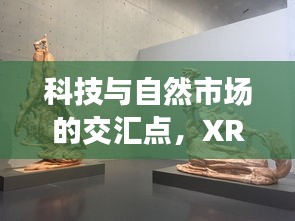 科技与自然市场的交汇点，XRF实时监测下的绿提子价格动态