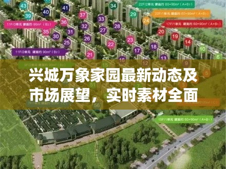 兴城万象家园最新动态及市场展望，实时素材全面解析与未来趋势预测