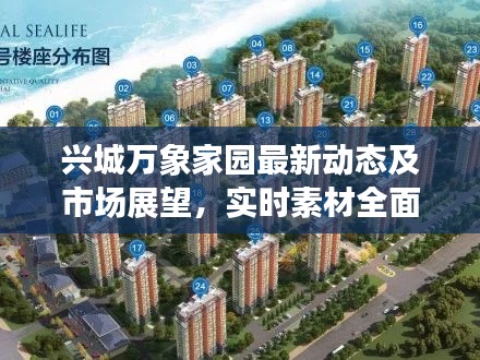 兴城万象家园最新动态及市场展望,实时素材全面解析与未来趋势预测