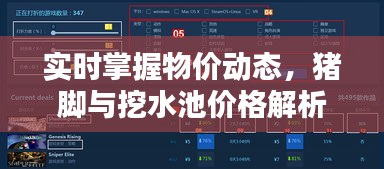 实时掌握物价动态，猪脚与挖水池价格解析