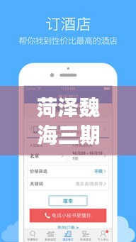 菏泽魏海三期最新进展与代码动态实时更新