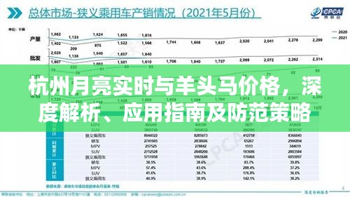 杭州月亮实时与羊头马价格,深度解析、应用指南及防范策略