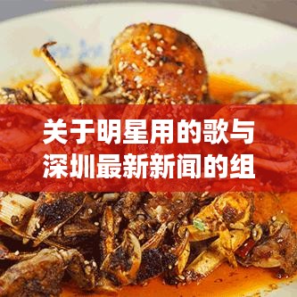 关于明星用的歌与深圳最新新闻的组合主题阐述