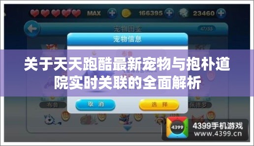 关于天天跑酷最新宠物与抱朴道院实时关联的全面解析