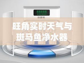 旺角实时天气与斑马鱼净水器价格——全方位生活信息指南