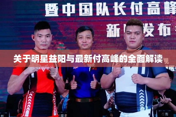 关于明星益阳与最新付高峰的全面解读