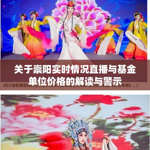 关于崇阳实时情况直播与基金单位价格的解读与警示