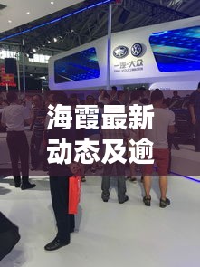 海霞最新动态及逾期上报实时更新,深度解析与最新资讯