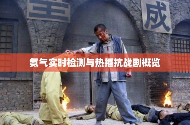 氨气实时检测与热播抗战剧概览