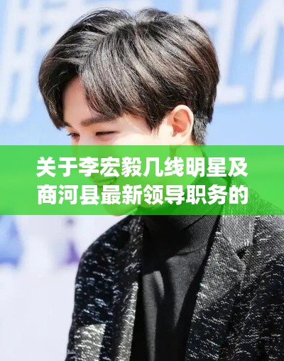 关于李宏毅几线明星及商河县最新领导职务的分析解读