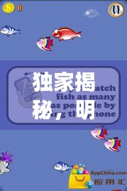 独家揭秘,明星内衣背后的秘密与僵尸捕鱼游戏最新动态揭秘