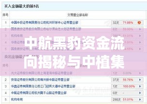 中航黑豹资金流向揭秘与中植集团最新进展报告