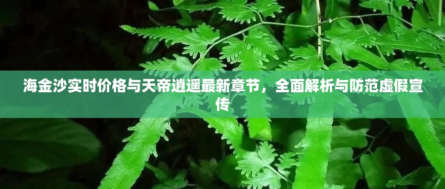 海金沙实时价格与天帝逍遥最新章节，全面解析与防范虚假宣传