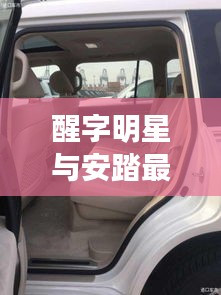 醒字明星与安踏最新动态全景解析