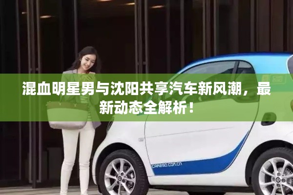 混血明星男与沈阳共享汽车新风潮,最新动态全解析!