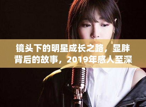 镜头下的明星成长之路，显胖背后的故事，2019年感人至深的心语