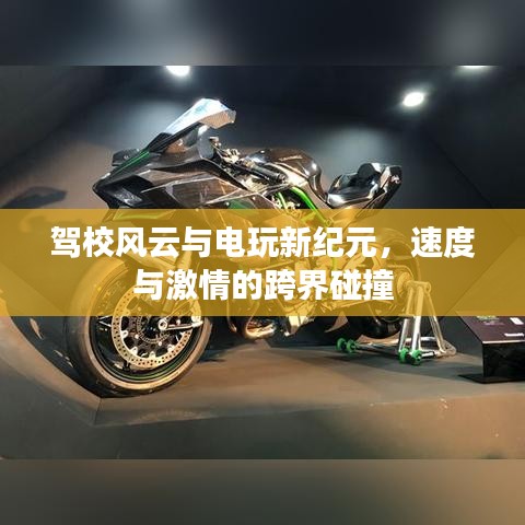 驾校风云与电玩新纪元，速度与激情的跨界碰撞