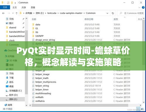 PyQt实时显示时间-蟾蜍草价格，概念解读与实施策略