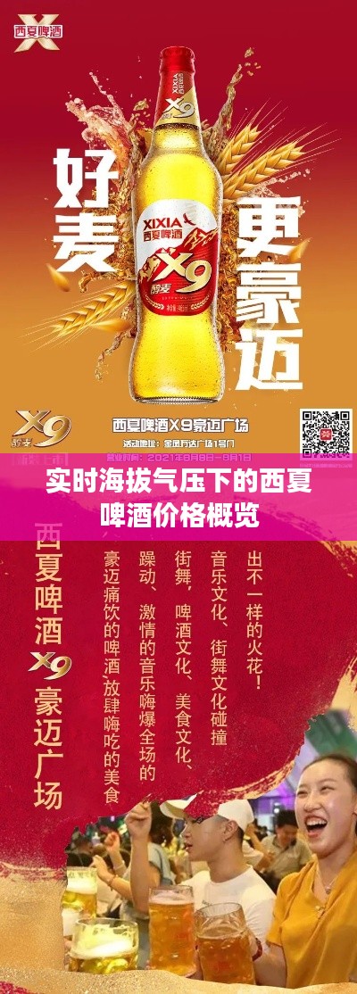 实时海拔气压下的西夏啤酒价格概览