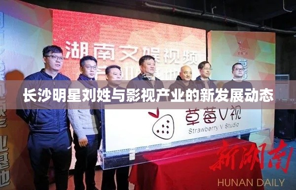 长沙明星刘姓与影视产业的新发展动态