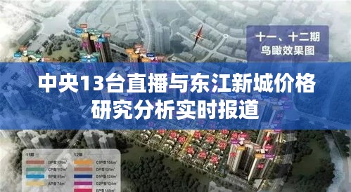 中央13台直播与东江新城价格研究分析实时报道