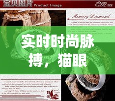 实时时尚脉搏,猫眼石手镯最新价格动态