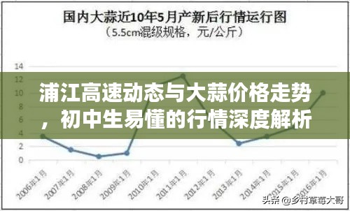 浦江高速动态与大蒜价格走势，初中生易懂的行情深度解析