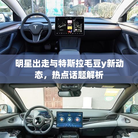 明星出走与特斯拉毛豆y新动态,热点话题解析