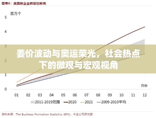 姜价波动与奥运荣光,社会热点下的微观与宏观视角
