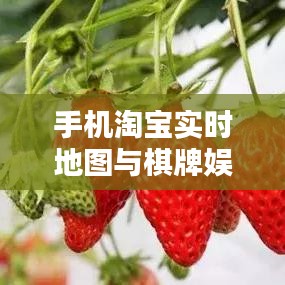 手机淘宝实时地图与棋牌娱乐,引领新时代的购物娱乐新潮流