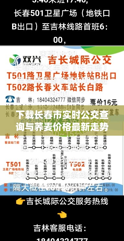 下载长春市实时公交查询与荞麦价格最新走势解析