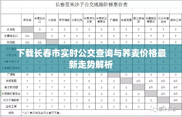 下载长春市实时公交查询与荞麦价格最新走势解析
