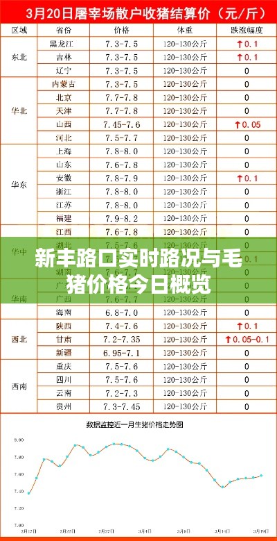 新丰路口实时路况与毛猪价格今日概览
