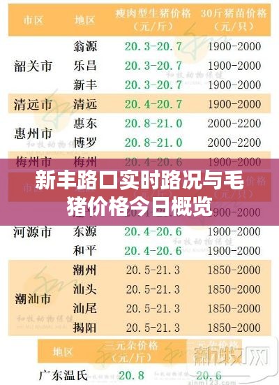 新丰路口实时路况与毛猪价格今日概览