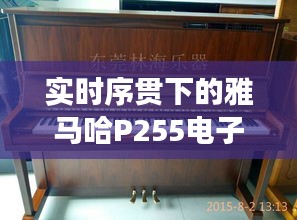 实时序贯下的雅马哈P255电子钢琴价格深度解析
