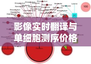 影像实时翻译与单细胞测序价格,科技前沿探索与挑战概览