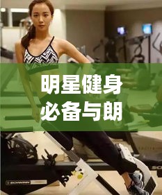 明星健身必备与朗逸最新报价全攻略解析