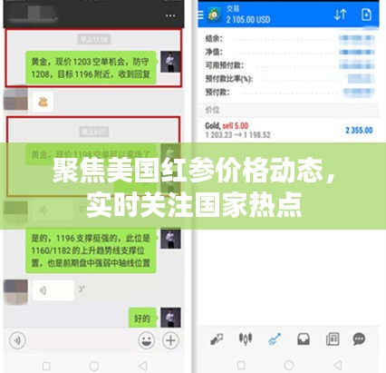 聚焦美国红参价格动态,实时关注国家热点