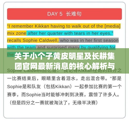 关于小个子黄皮明星及长耕集团官网最新消息的核心解析与策略探讨