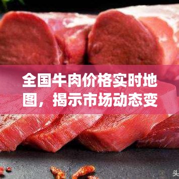 全国牛肉价格实时地图,揭示市场动态变化,洞悉牛肉市场趋势