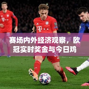 赛场内外经济观察，欧冠实时奖金与今日鸡蛋价格对比解析