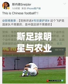 斯足球明星与农业风云,山东麦麸价格最新动态引发跨界热议