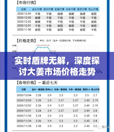 实时盾牌无解，深度探讨大姜市场价格走势
