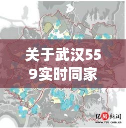 关于武汉559实时同家有女儿最新现象的深度解析