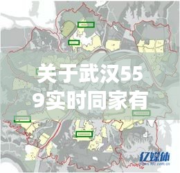 关于武汉559实时同家有女儿最新现象的深度解析
