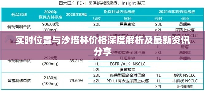实时位置与沙培林价格深度解析及最新资讯分享