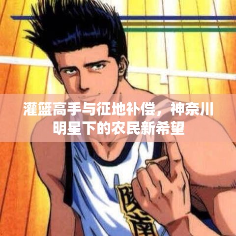 灌篮高手与征地补偿,神奈川明星下的农民新希望